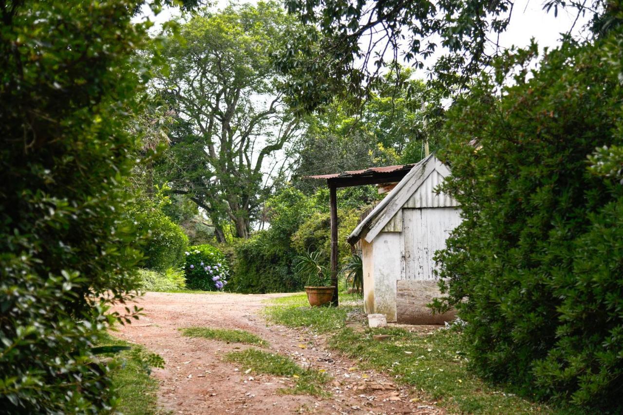 The Knoll Historic Guest Farm Villa Хилтън Екстериор снимка